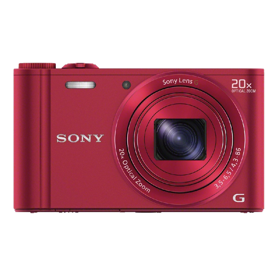 Sony DSC WX300 R 18 MP Digital Camera with 20x Optical Image